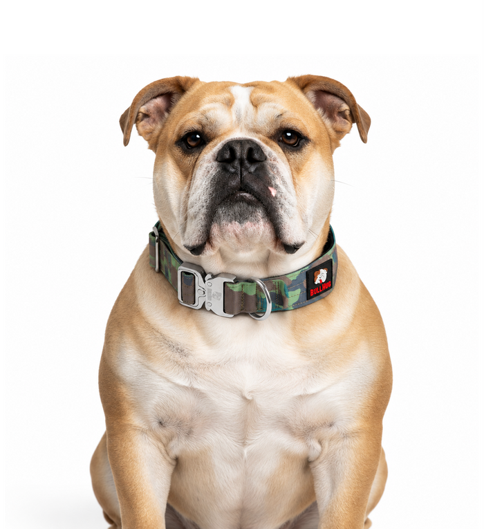 1.5-INCH BULLHUG TACTICAL COLLAR - ARMY CAMOUFLAGE
