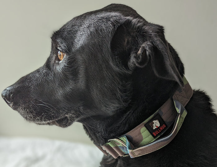TACTICAL COLLAR- ARMY CAMOUFLAGE - thebullhug.com