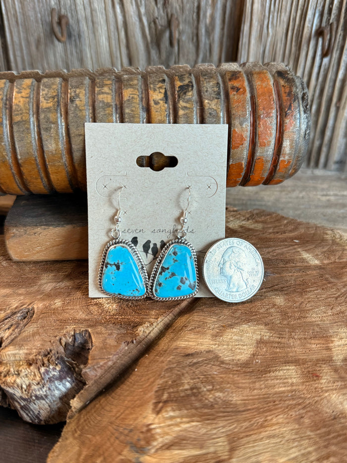 Sterling silver fishhook turquoise teardrop earrings shown with coin for size