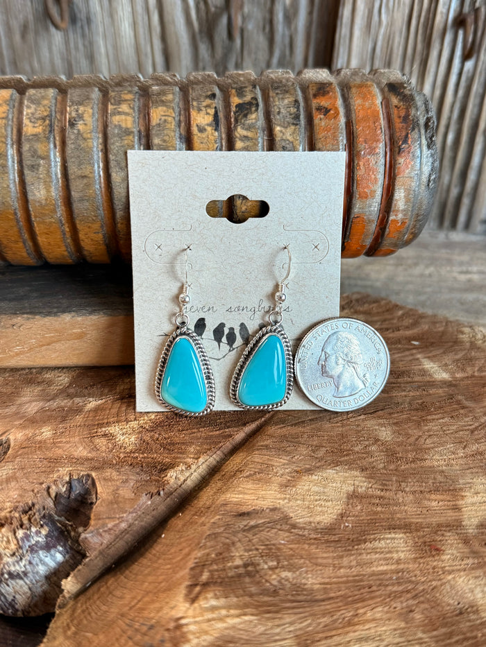 Turquoise teardrop fishhook earrings with silver beaded bezel, pair