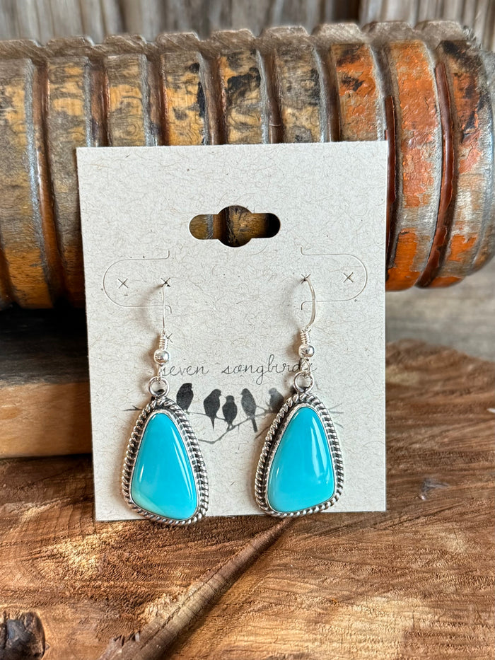 Turquoise teardrop fishhook dangle earrings with silver hooks, pair