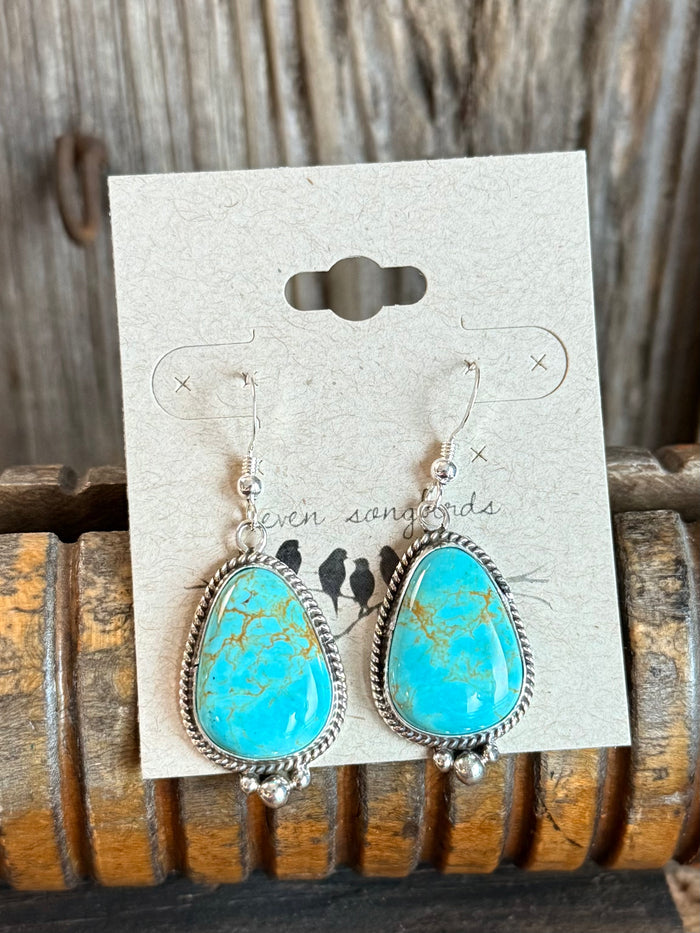 Turquoise teardrop fishhook earrings with oval stones in silver frames