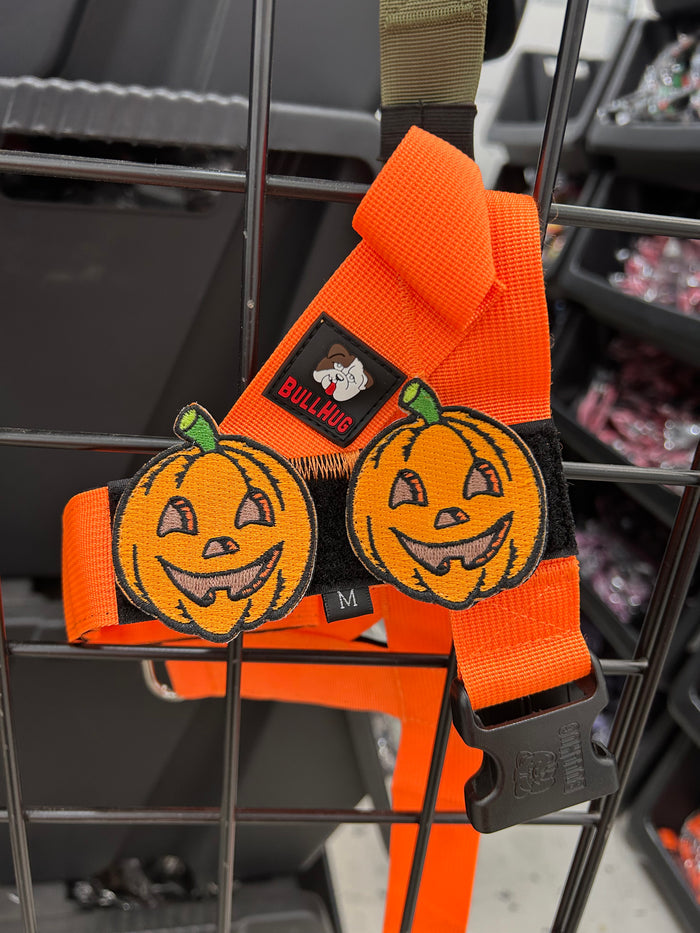 Flair Patch -Pumpkin (2 patches)