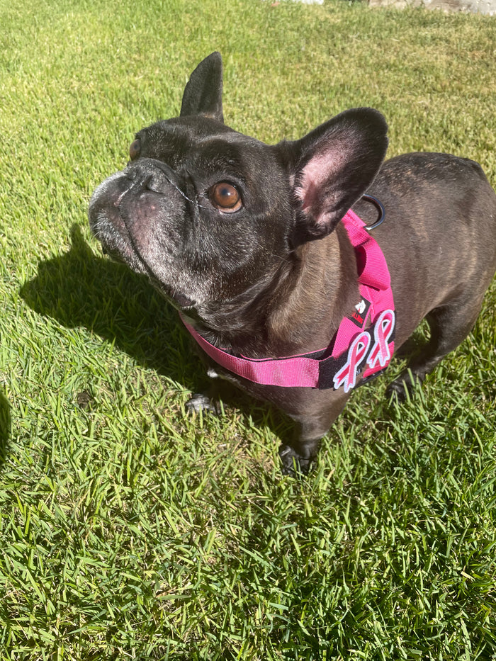 "BREAST CANCER RIBBON" ( 2 PATCHES) - thebullhug.com