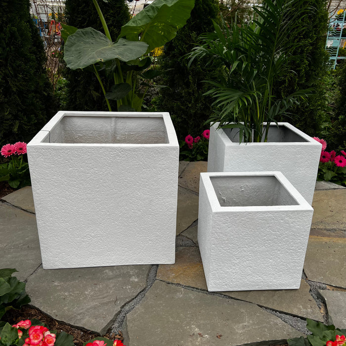 Three white Pick-Up & Local Delivery Only Sydney Cube Planter - White - 18-inches are displayed on stone tiles in a garden with greenery and pink flowers. Two weather-resistant planters hold lush leafy green plants.