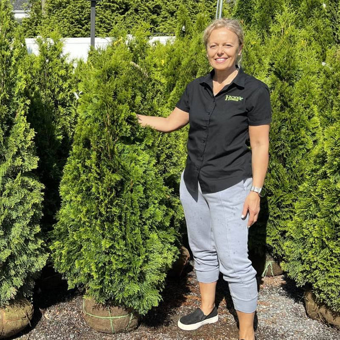 A woman smiles outdoors, wearing a black shirt and gray pants, with one hand on a large Arborvitae - Emerald Green (3-4, Ball and Burlapped) from Pickup & Local Delivery Only, surrounded by similar dense green trees.