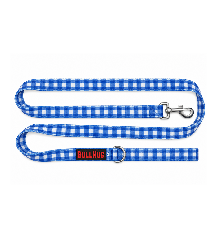 Blue Plaid BullHug 6ft Dog Leash – Padded Handle
