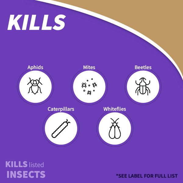 A purple and tan graphic with KILLS at the top shows simple icons for aphids, mites, beetles, caterpillars, and whiteflies to highlight Bonide Tomato & Vegetable 3-in-1 Ready-to-Use’s pest control effectiveness. Brand: All Delivery Options.