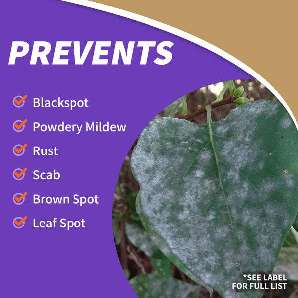 A leaf with white, powdery spots appears next to plant diseases that Bonide Tomato & Vegetable 3-in-1 Ready-to-Use prevents: blackspot, powdery mildew, rust, scab, brown spot, and leaf spot. Bold PREVENTS above—complete fungal control.