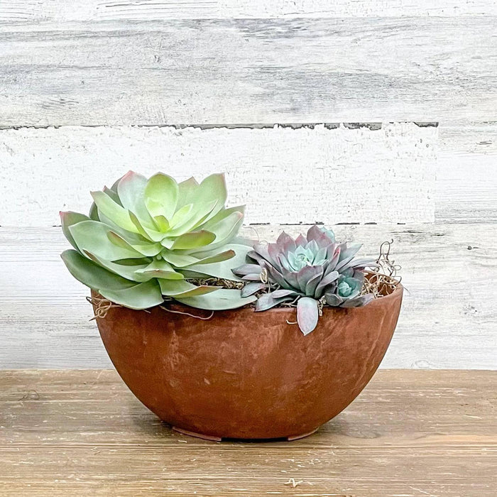 Bowl Planter - Rust - 10-inch - Hicks Nurseries