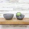 Bowl Planter Grey - 10-inch - Hicks Nurseries