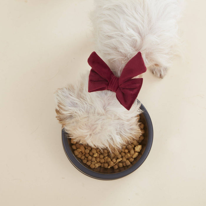 Burgundy Velvet Lady Dog Bow