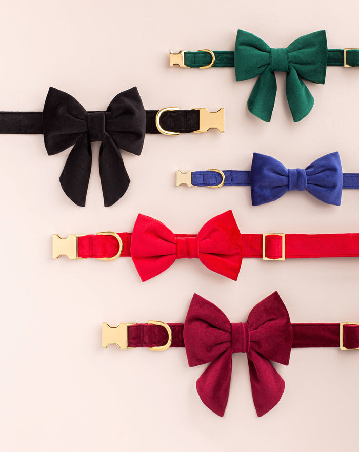 Burgundy Velvet Lady Dog Bow