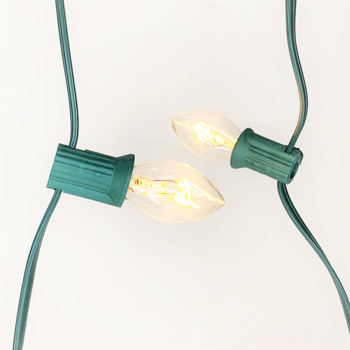C7 25 ct. String Lights Transparent Clear - Hicks Nurseries