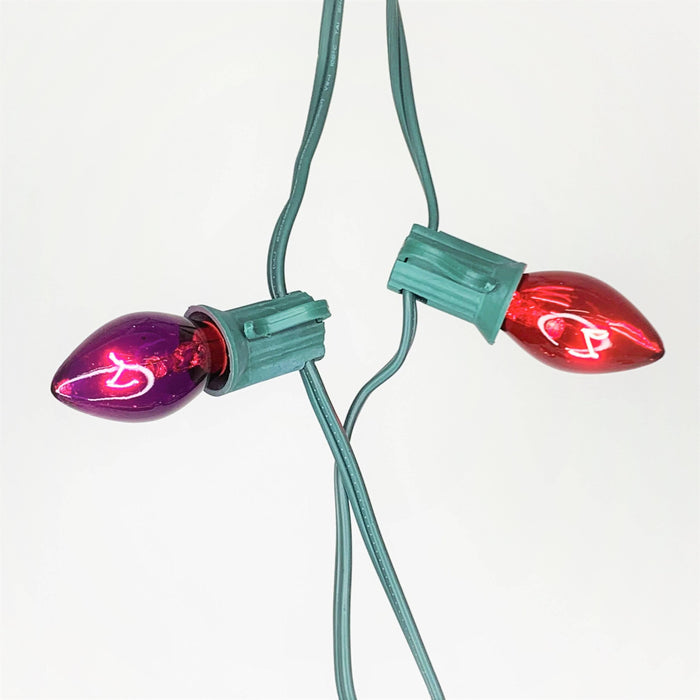 C7 25 ct. String Lights Transparent Multi-Colored - Hicks Nurseries