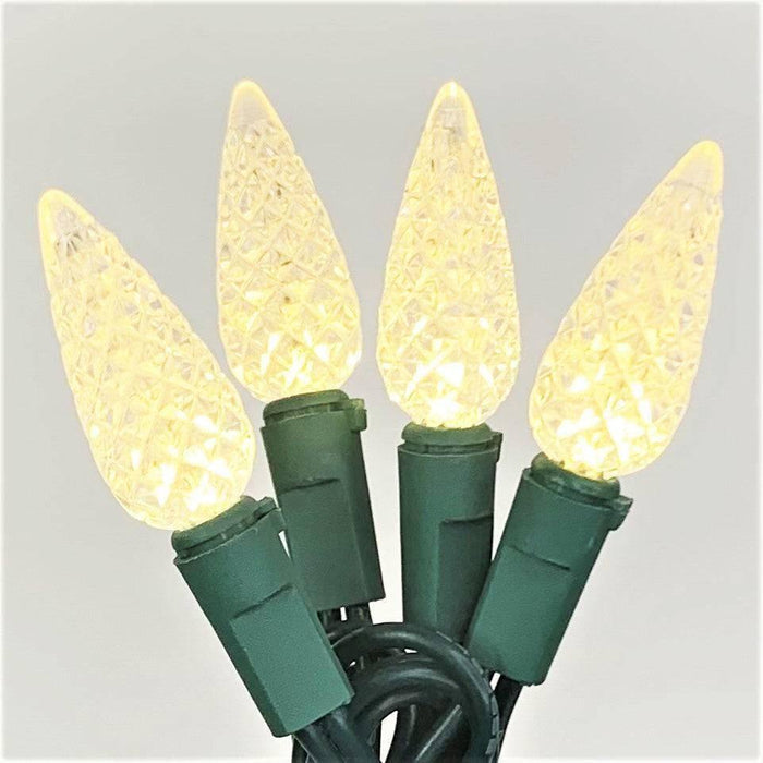 C9 LED 25 ct. String Lights Warm White - Hicks Nurseries