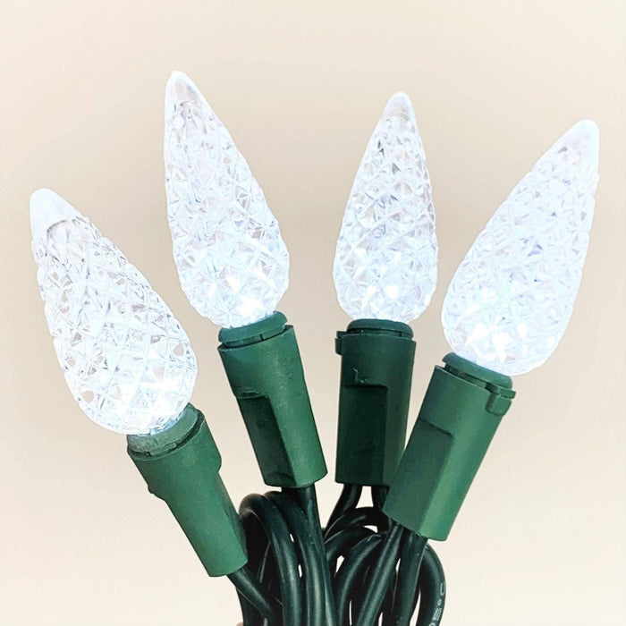 C9 LED 25 ct. String Lights White - Hicks Nurseries