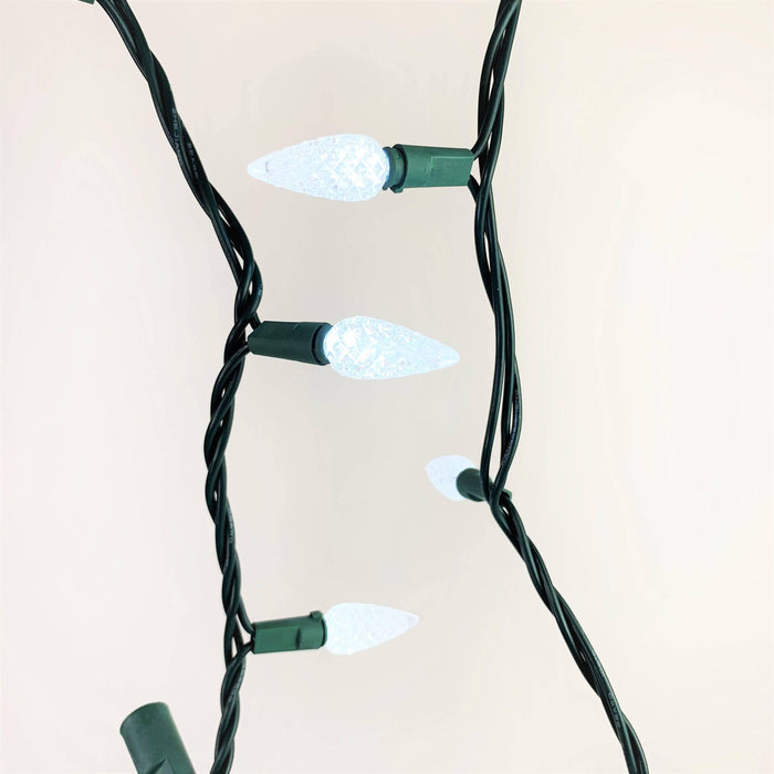 C9 LED 25 ct. String Lights White - Hicks Nurseries