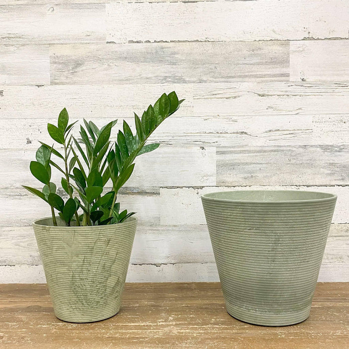 Cali Pot - Mint - 8-inch - Hicks Nurseries