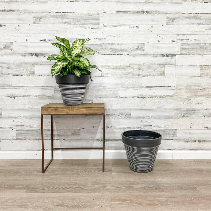 Carve Finish Planter - Grey - 12-inch - Hicks Nurseries