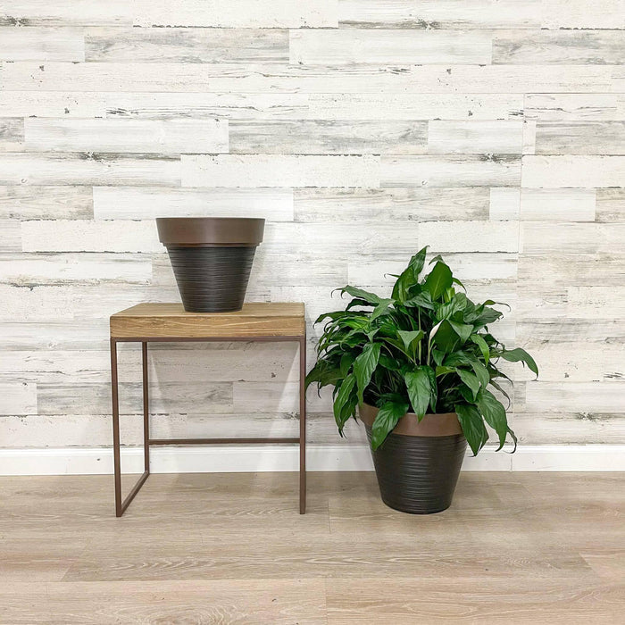 Carve Finish Planter Chocolate - 14-inches - Hicks Nurseries