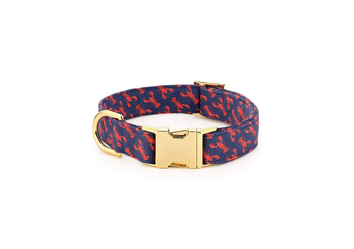 Catch of the Day Navy Dog Collar Small