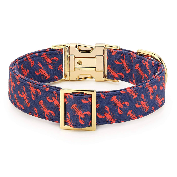 Catch of the Day Navy Dog Collar Small