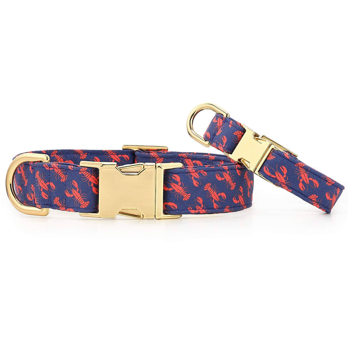 Catch of the Day Navy Dog Collar Small