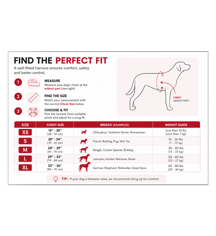Caution BullHug Dog Harness – Non-Choking, Adjustable