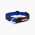 Front view of a blue checkmate collar in white background