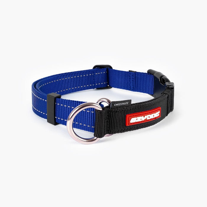 Front view of a blue checkmate collar in white background