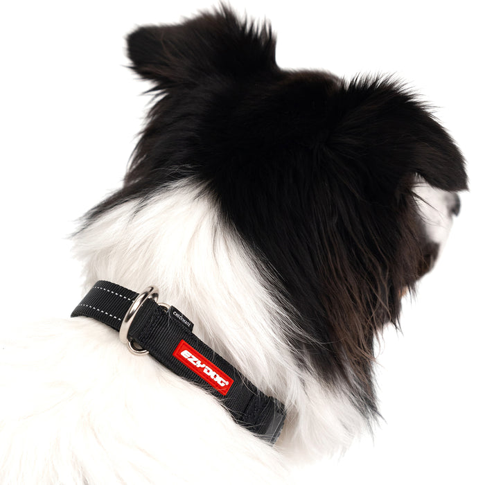 a close up of a dog wearing black checkmate collar with a white background