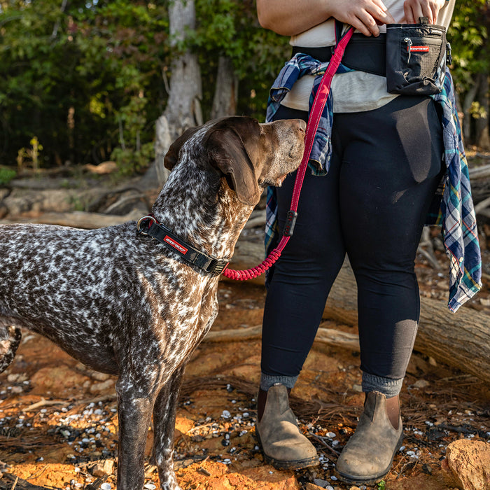 A person wears treat bag and fetching treat to the dog who is wearing a red leash with and black collar in a natural environment