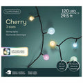 Cherry LED 120 ct. String Lights Soft Multi-Color, available for Pick-Up & Delivery, feature a black cable and timer; ideal indoor/outdoor pastel holiday lighting for any space.