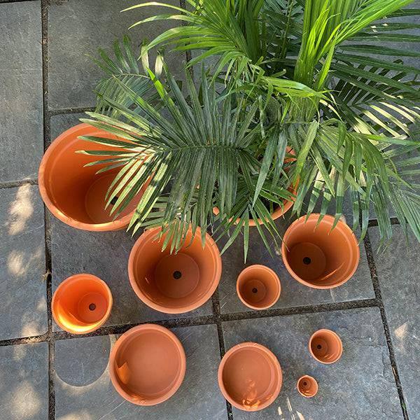 Clay Pot - 12-inch - Hicks Nurseries