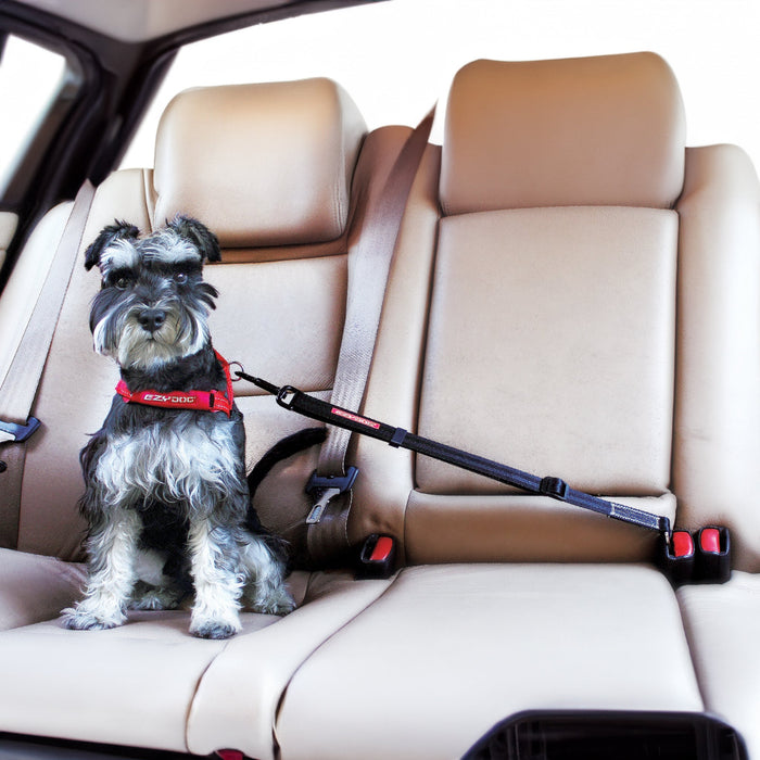 A dog wearing harness and Click™ Adjustable Car Restraint sitting inside a car