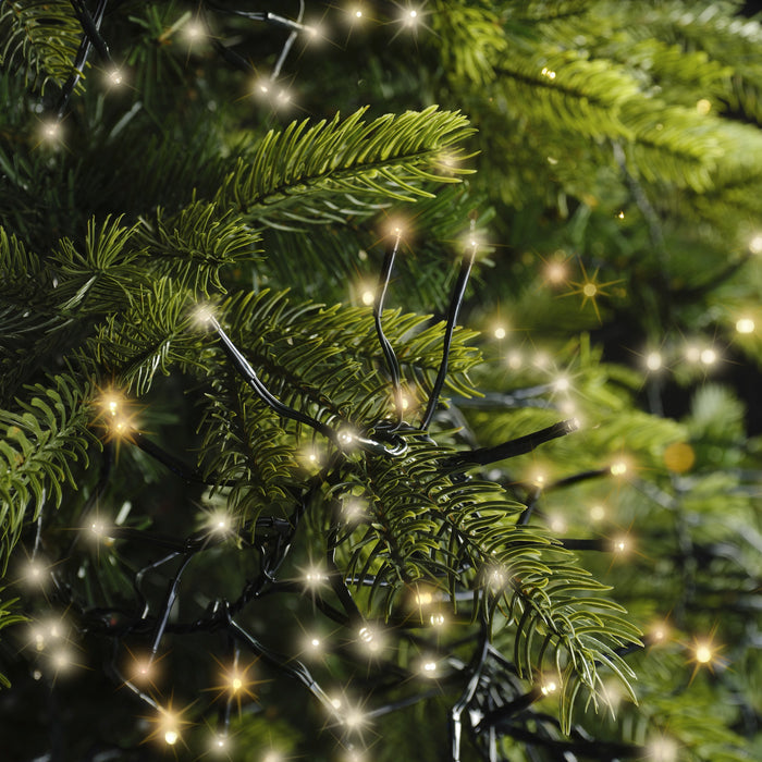 Close-up of green pine branches decorated with Cluster LED 768 ct. String Lights Warm White by Available for Pick-Up & Delivery, adding a sparkling and festive holiday décor touch.