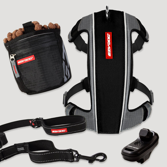 Dog training equipment including a harness, leash, and clicker on a light gray background.