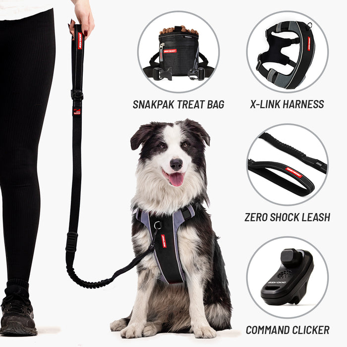 Dog with pet accessories including a snakpak treat bag, x-link harness, zero shock leash, and command clicker.