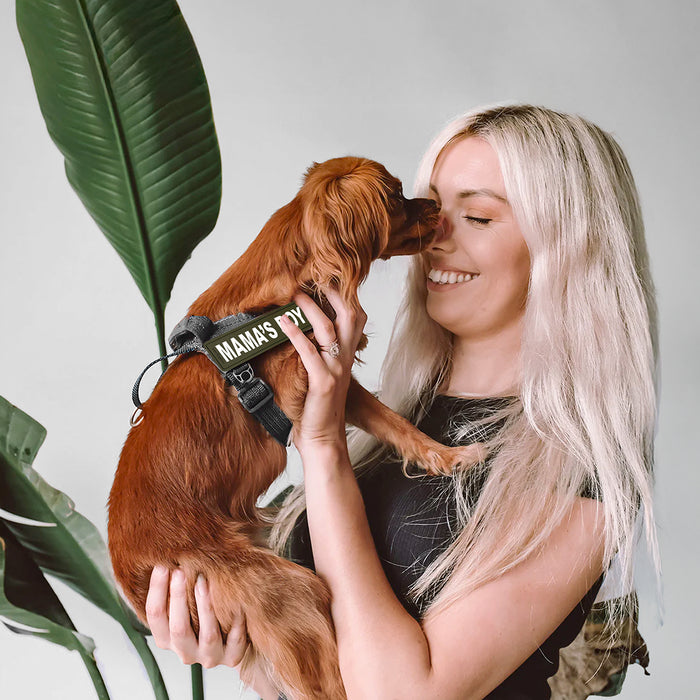 Woman holding a small dog with a custom badge black harness with a plant in the background