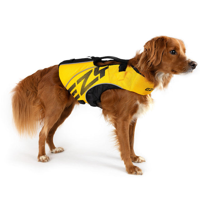 Dog wearing Yellow DFD X2 Boost Life Jacket