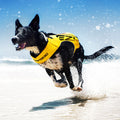 dog wearing yellow dfd x2 boost life jacket and running on water