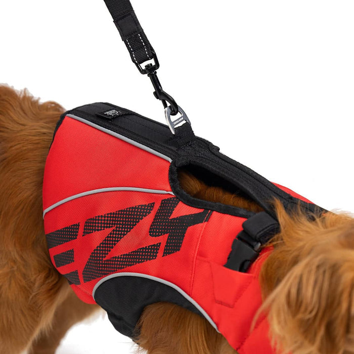 dog wearing red dfd x2 boost life jacket closeup on a leash