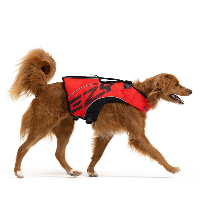 Dog wearing red DFD X2 Boost Life Jacket