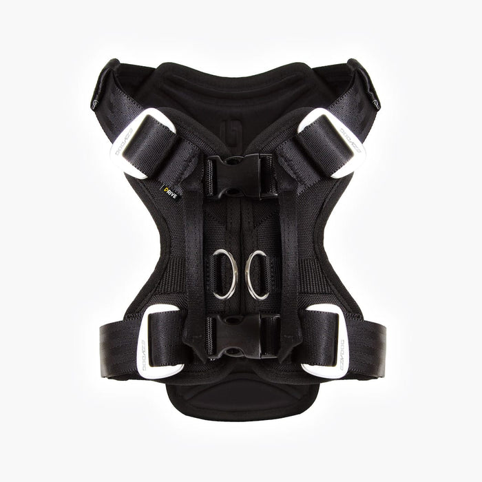 dog car harness back view
