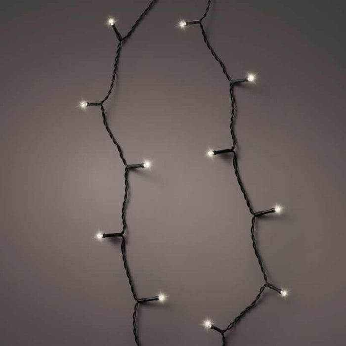 The Durawise Battery Operated LED Twinkle String Lights Warm White by Available for Pickup & Delivery feature a black wire and are perfect for holiday décor. Displayed in a loose curve on a plain gray background.