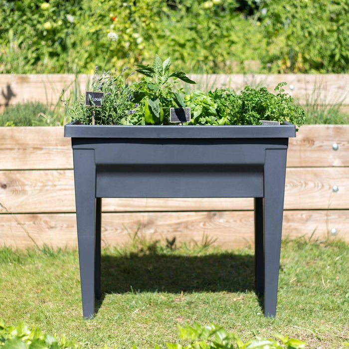 Elevated Harvest Planter - Hicks Nurseries