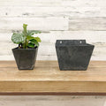 Ella Wall Pot - Black - 5.5-inches - Hicks Nurseries