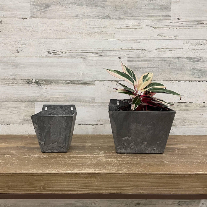 Ella Wall Pot - Grey - 8.5-inches - Hicks Nurseries