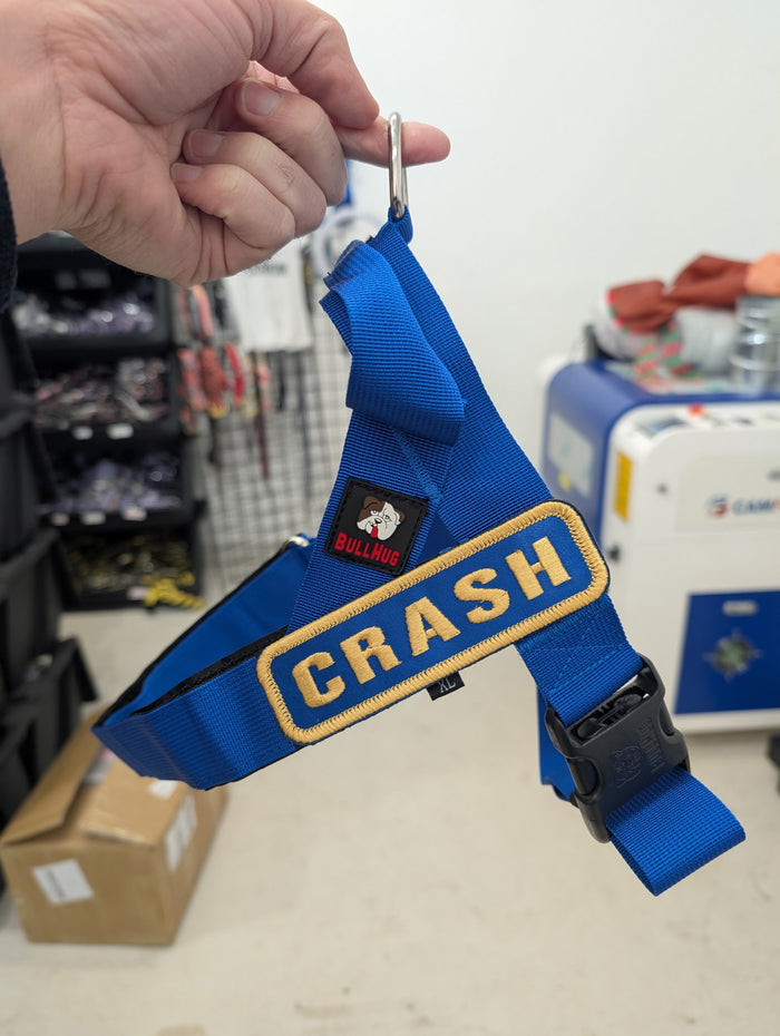 Royal Blue / Gold